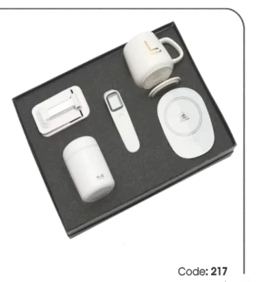 ست مدیریتی 217